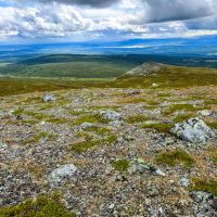 Auf dem Högenzug des Lillfjället beim Wandern unterwegs