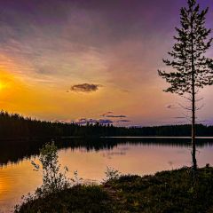 Abendsonne am einsamen See Lill Vävelsjön