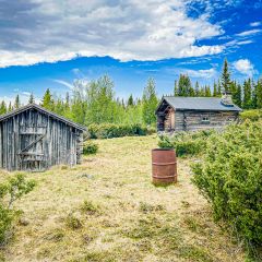 Alm-Wanderung zur Alm Lövberget am Pilgerweg Jämt-Norgevägen