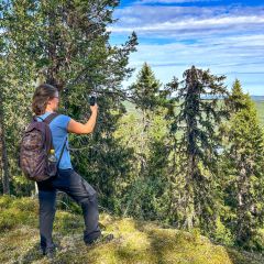 Aussicht zwischen den Bäumen oberhalb des Sees Flåsjön auf dem Flåsjöskallen